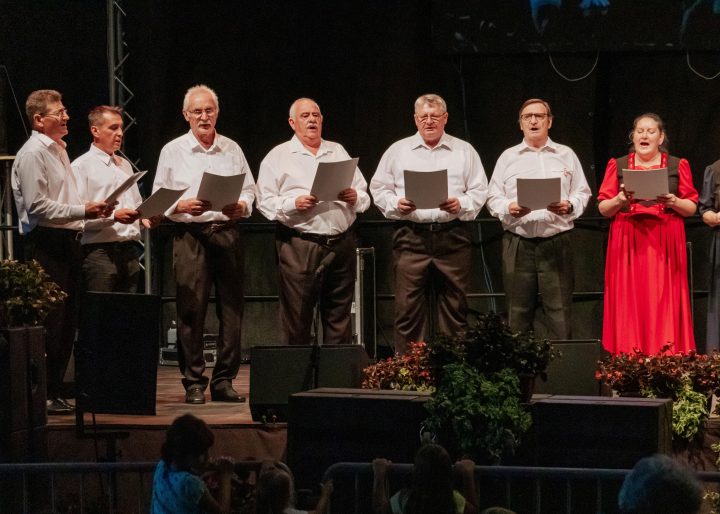 SZENT ISTVÁN-NAPI RENDEZVÉNY-A magyarság örökség, felelősség és feladat